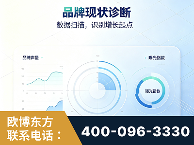 北镇-品牌现状诊断